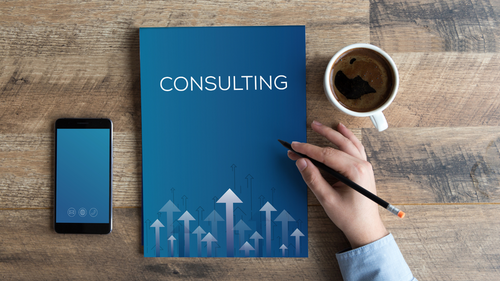 IT Consultancy